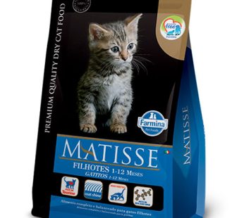 Matisse Gatitos