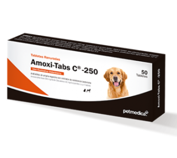 Amoxi Tabs C250