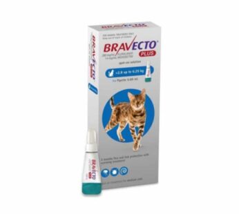 MSD animal health bravecto plus  gato 2.8KG – 6.25KG