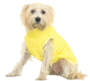 Chaleco Impermeable Amarillo