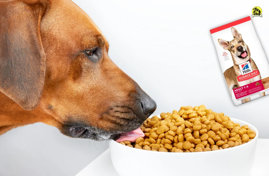 ¿Es Hills comida para perros con problemas de digestión?