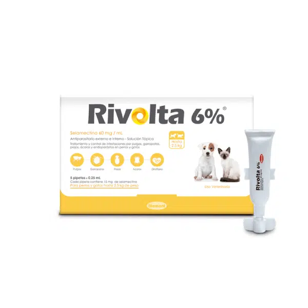 Rivolta Cachorros y Gatos