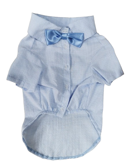 CAMISA CELESTE ALG. CON CORBATA