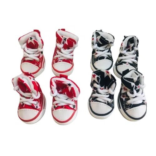 Zapatillas