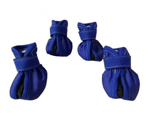 Zapatos Impermeables