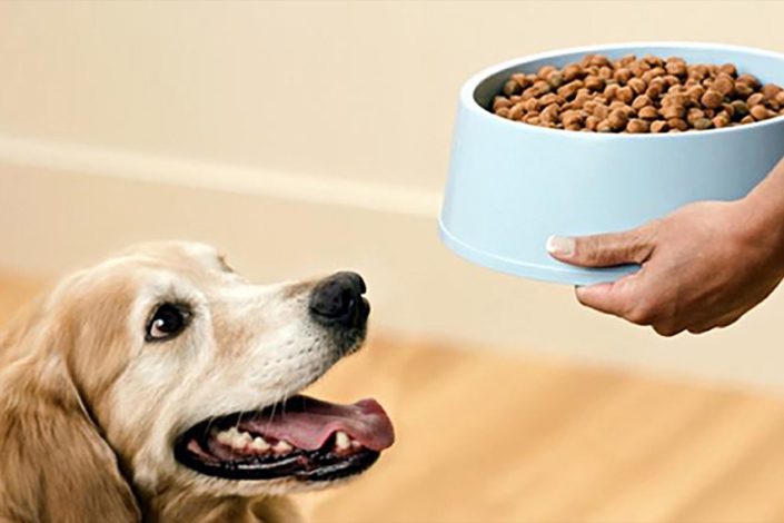delivery de comida para mascotas en Lima