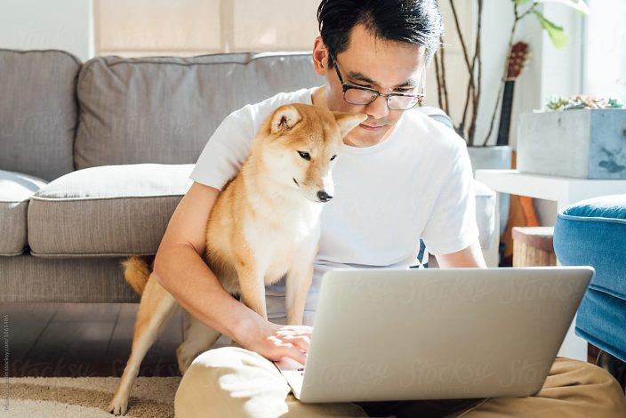Tienda de mascotas online en Perú