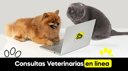 consulta-veterinaria-en-linea2