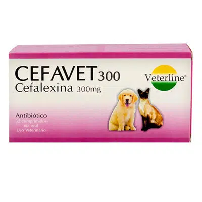 Cefavet 300mg Antibiótico para Perros y Gatos