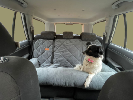 Protector de Asiento para Carro