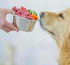 Veterinaria, nutrición para mascotas.