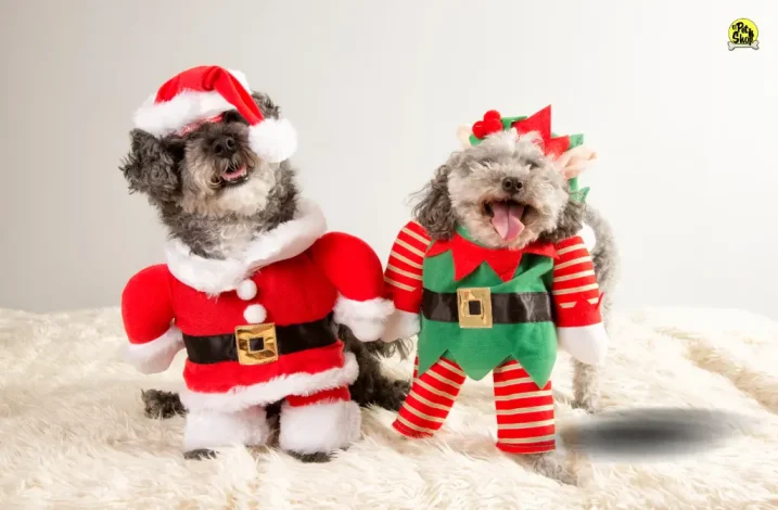 Consideraciones al comprar ropa navideña para perros, portada del artículo.