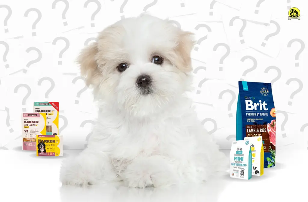 Brit y Barker, alimentos de calidad para mascotas