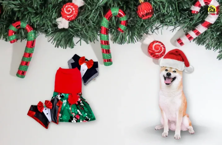 Tips para elegir los mejores regalos y ropa para perros para navidad. Portada.