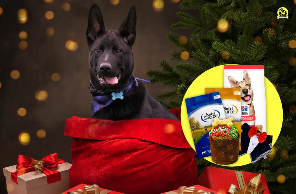 Sorprende con estos regalos para perros a tu mascota