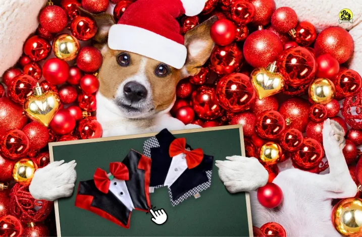 Ropa de perros