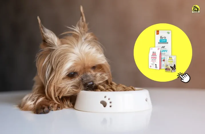 Brit care o brit premium