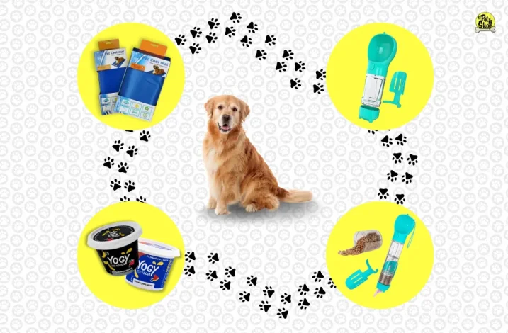 Golpe de calor en perros, Pet Shop.