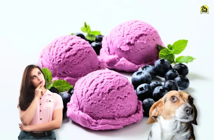 helados para perros