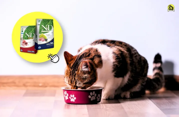 Comida saludable para mascotas