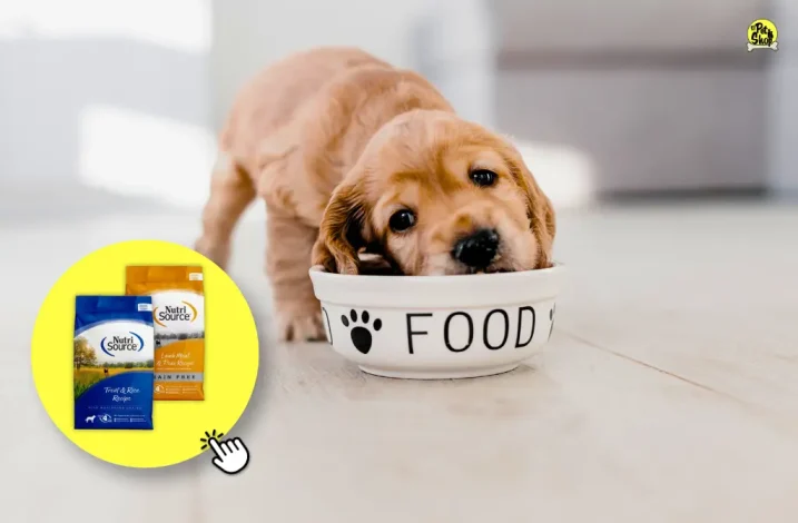 Comida saludable para mascotas, delivery en Lima.