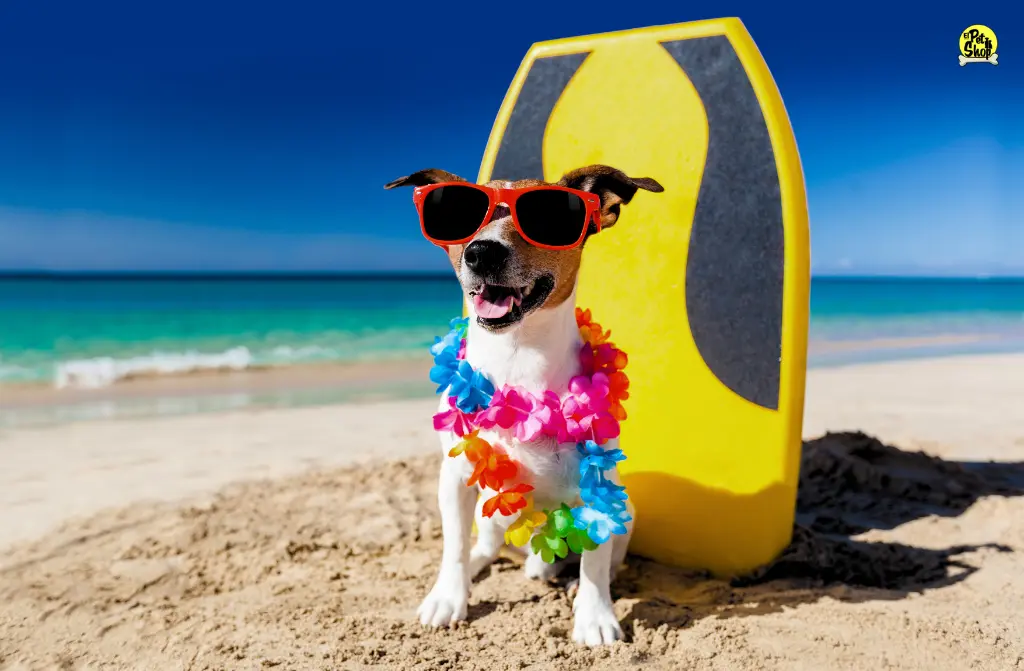 Ropa de verano para perros: Cómo elegir ropa fresca y segura para tu perro en verano.