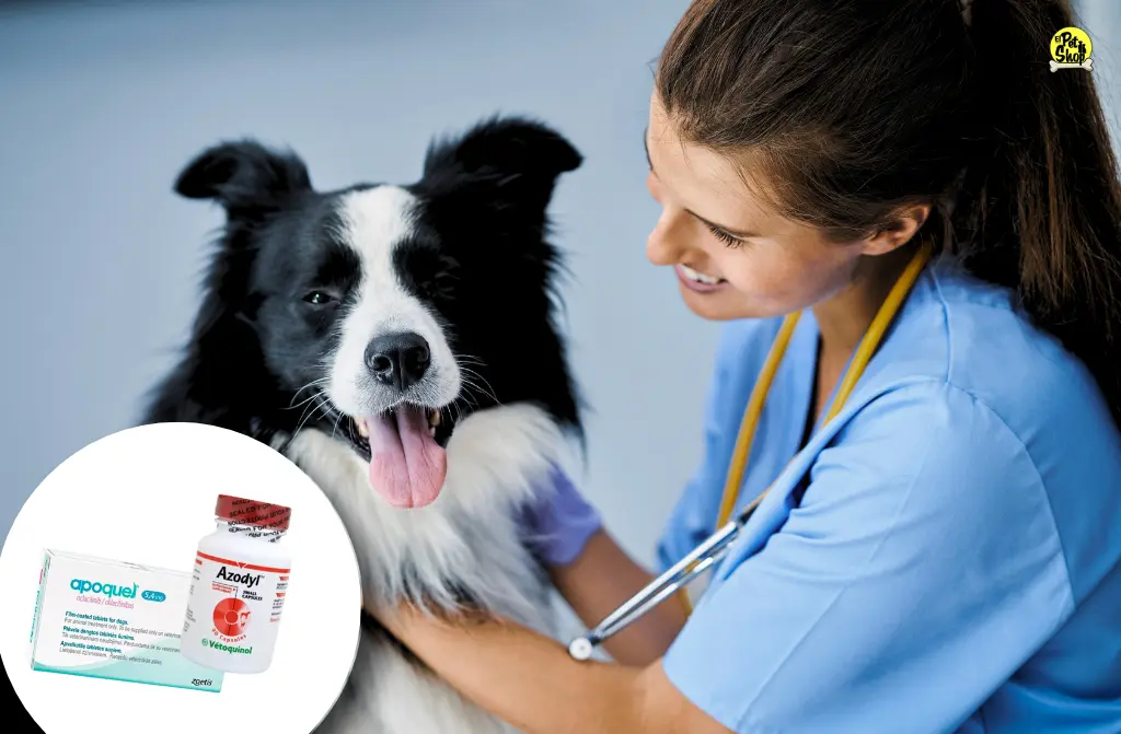 Cuidados Veterinarios Esenciales: Azodyl, Apoquel y Servicios para Perros