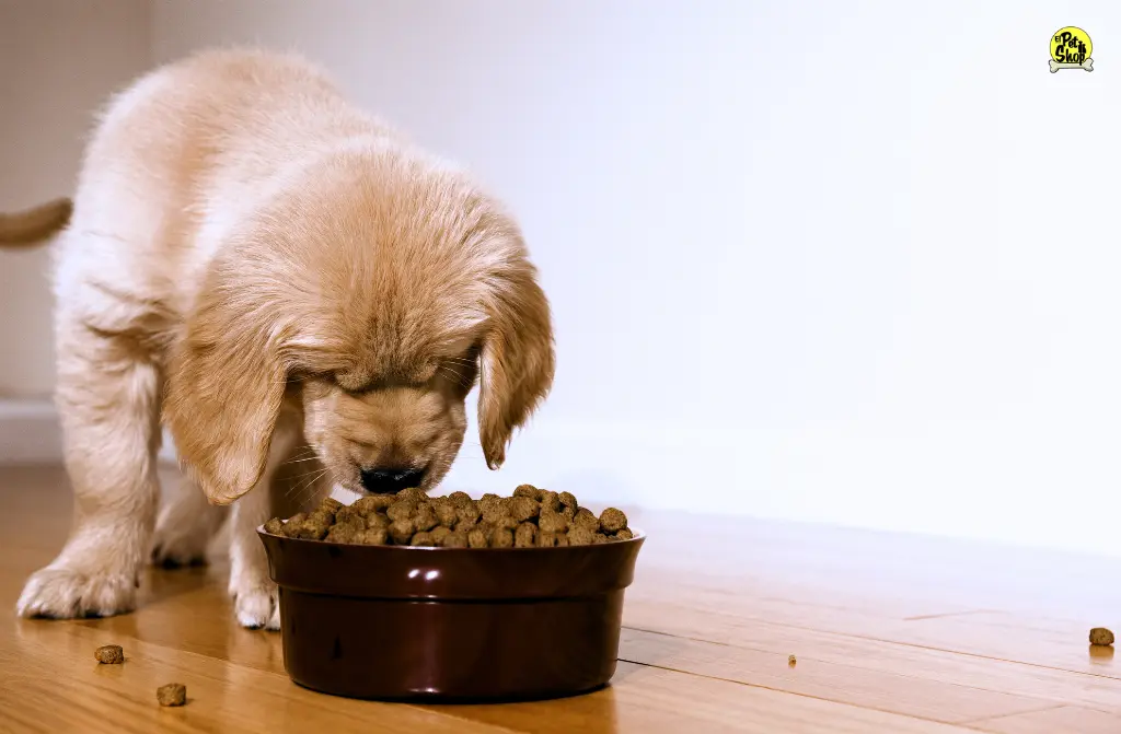 Comida para Cachorros: Nutrición Esencial para un Crecimiento Saludable