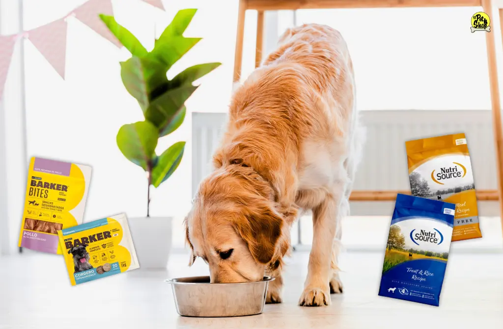 Nutrisource y Barker: comida para perros variada y saludable
