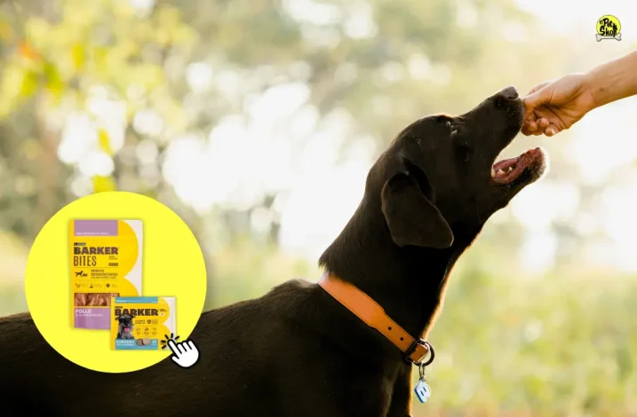 Barker, delivery en Lima.