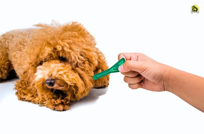 Antipulgas en pastilla para perros en Lima
