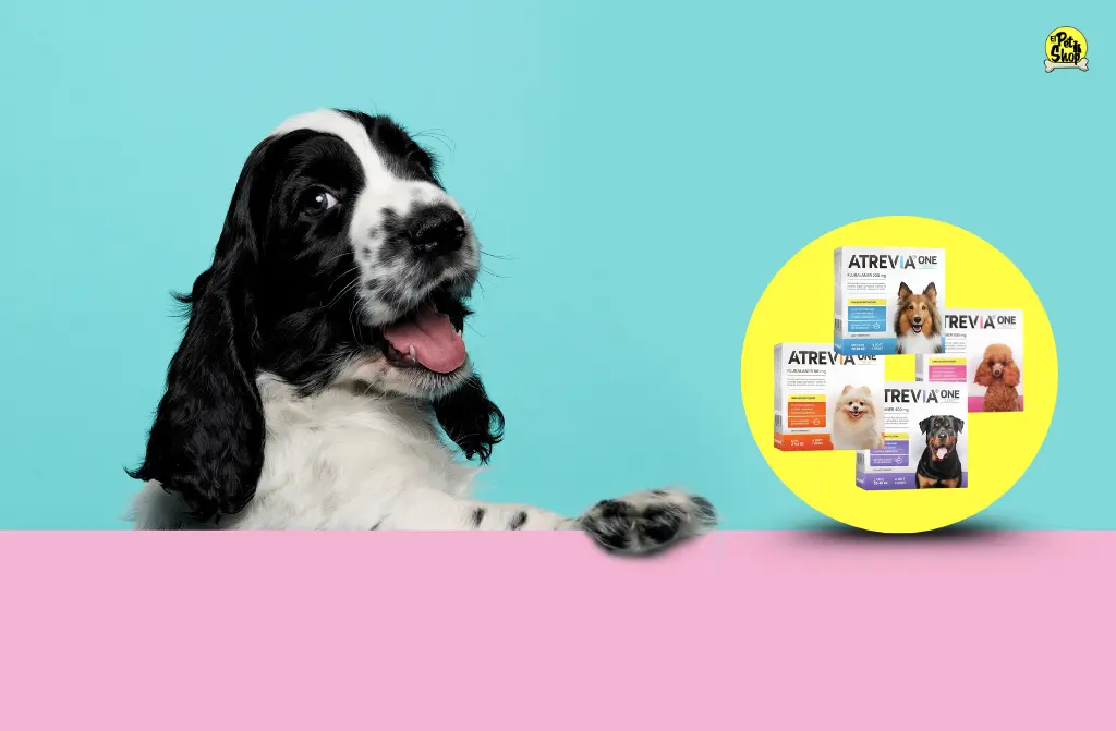 Lo que debes saber sobre Atrevía One: Antipulgas en pastilla para perros