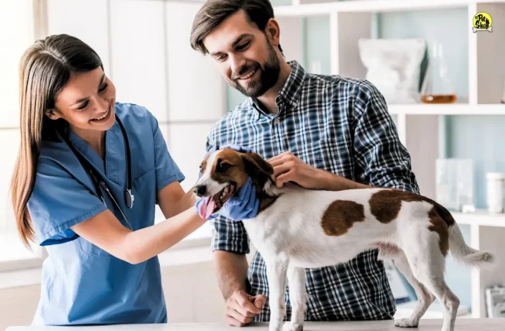 antipulgas para perros