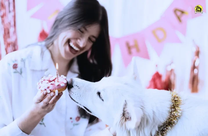 Tortas para perros en Lima, Miraflores.