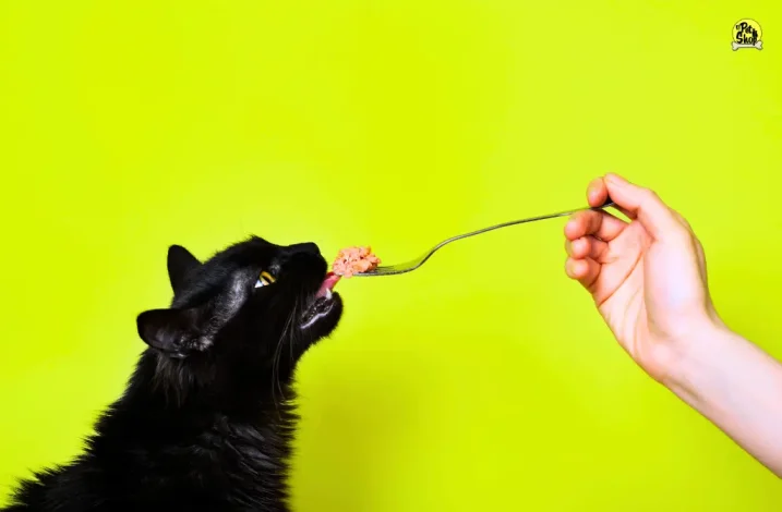 Comida para gatos adultos en Miraflores, Lima.