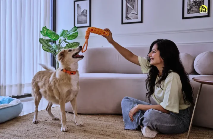 Portada del artículo: Probióticos para perros