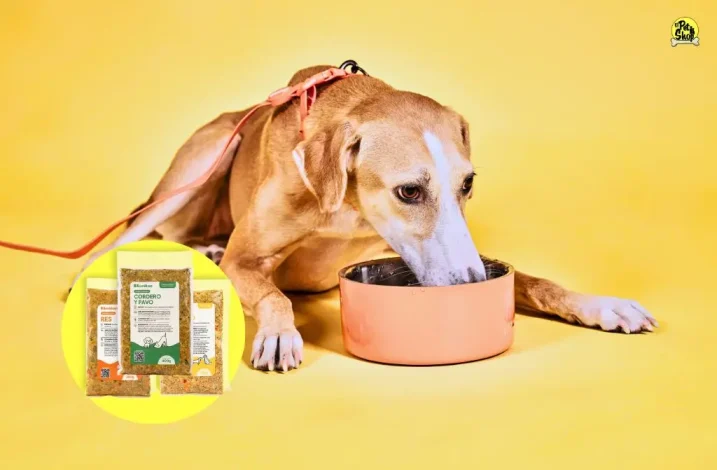 Proteína para perros, información.