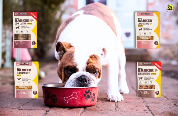 Snacks para perros en Lima.