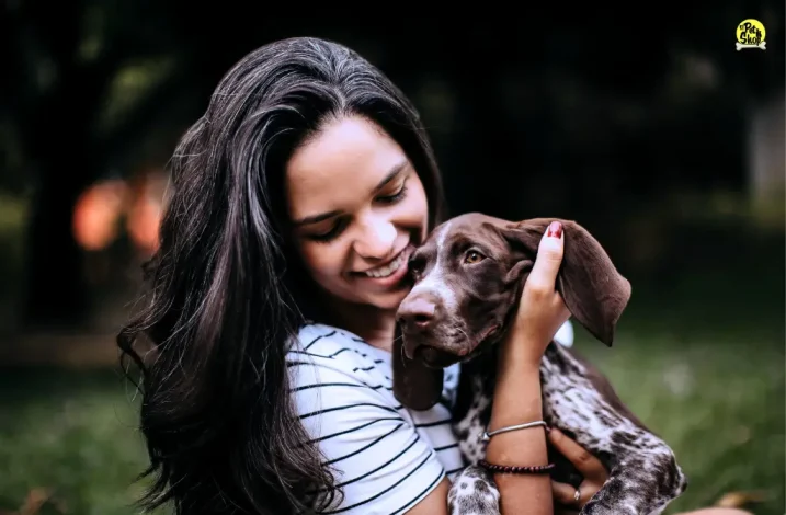 Snacks para perros y premios: recomendaciones para dueños responsables, portada.