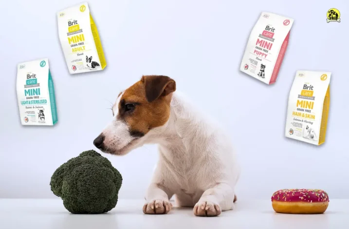 comida para perros pequeños, brit care mini