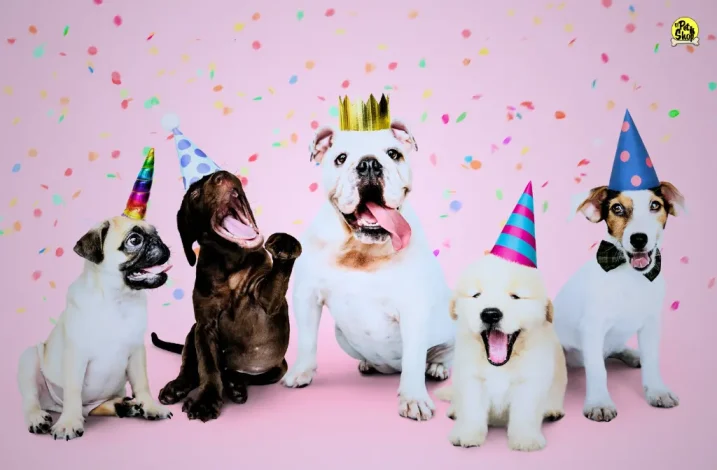cumpleaños de mascotas felices