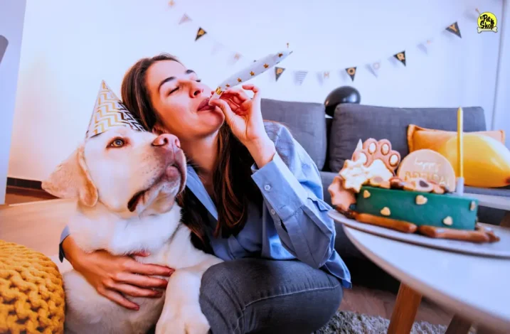 Portada de artículo: Consideraciones para un cumpleaños de mascotas saludable, segura y sin estrés.