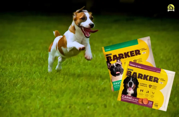 Portada de artículo: Hamburguesas Barker para perros: complemento nutricional.