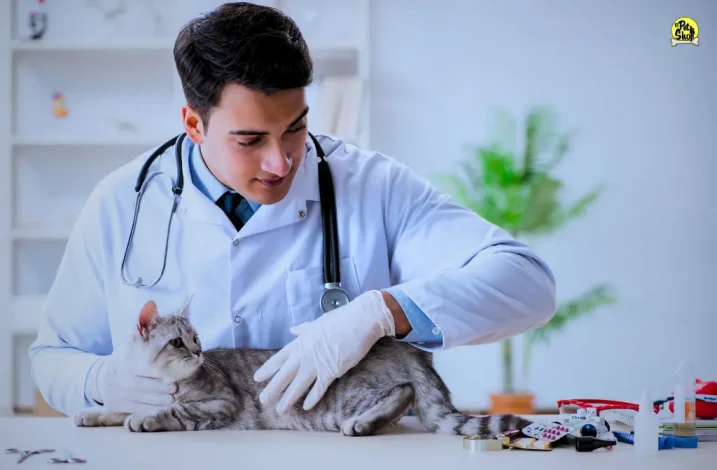 Tratamientos de problemas renales.