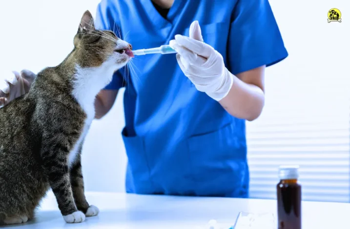 Final del artículo.