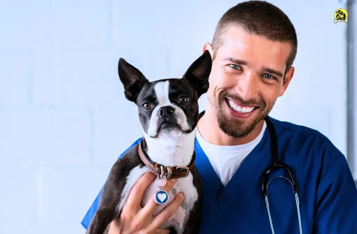 Hill's Science Diet para perros pequeños con minerales.