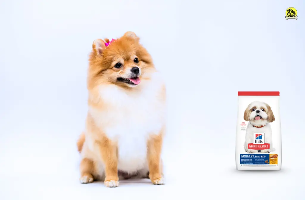 Hill’s Science Diet para perros pequeños: nutrición especializada con Small Bites