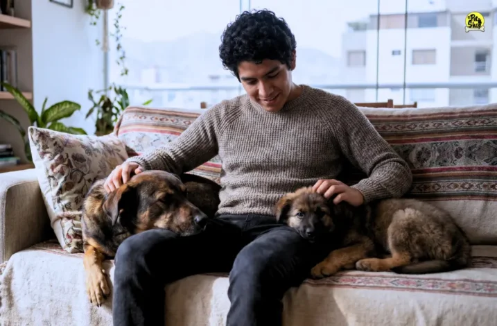 medicamentos para perros adultos y cachorros.