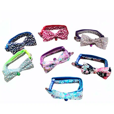 accesorios para gatos