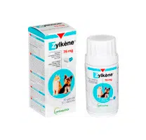 medicamentos para gatos
